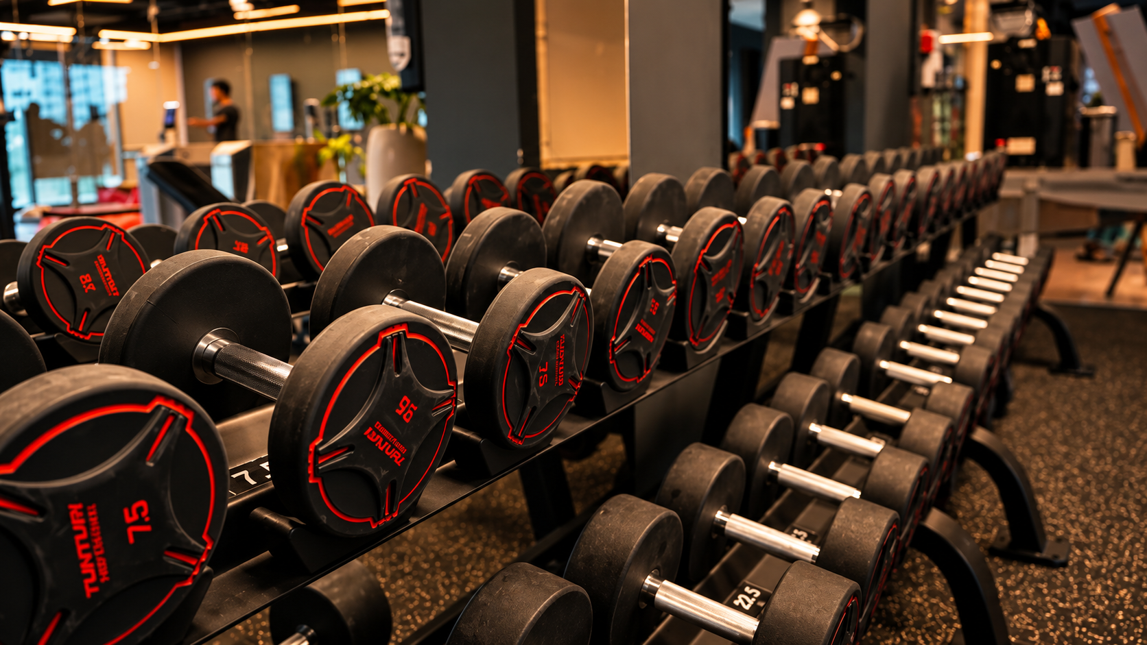 Rows of COREO dumbbells and free weights